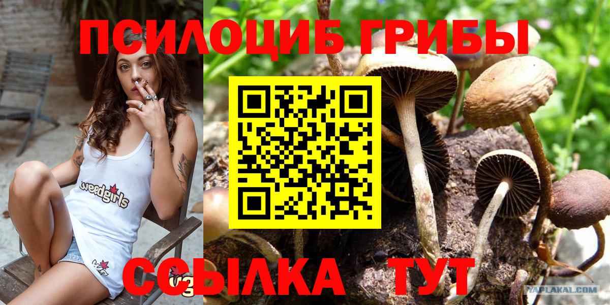 Углич  Галлюциногенные грибы мицелий  Вход с VPN  Псилоцибиновые грибы Magic Shrooms 